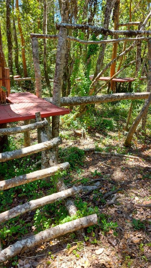 Hotel Lodge Las Cascadas Puerto Clocker Eksteriør billede